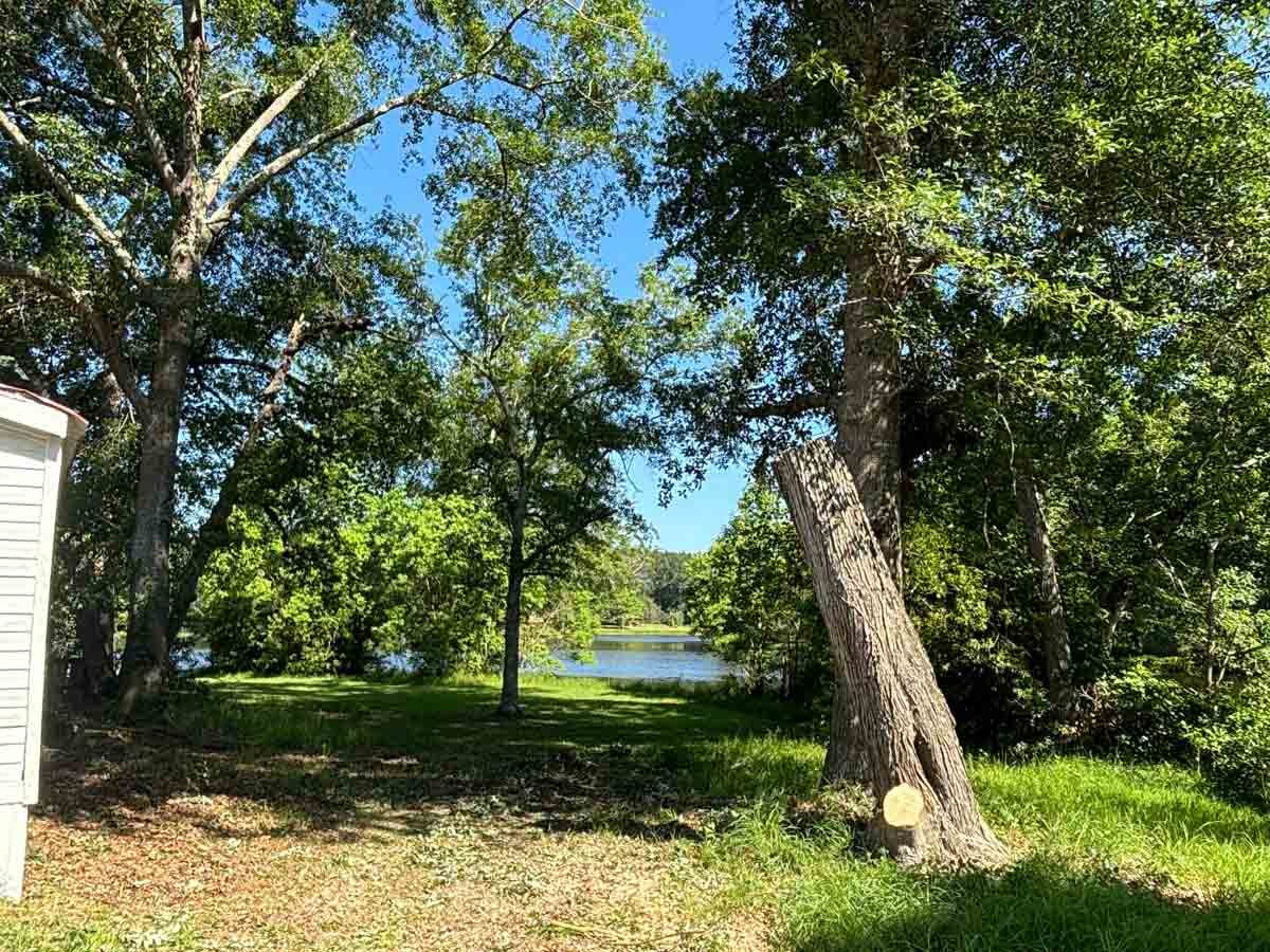 El Costeño Tree Service LLC